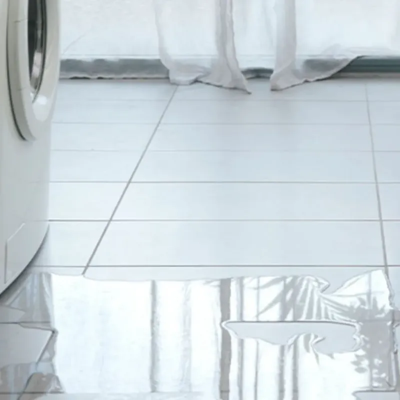Appliance Leak Cleanup in Saint Augustine, FL